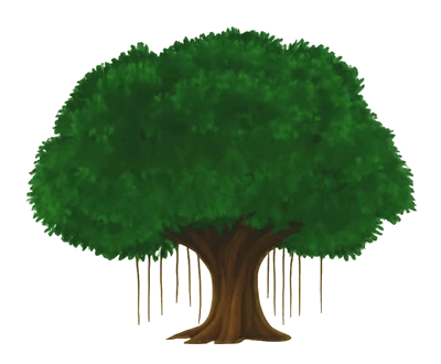 Baniyan Tours and Travels